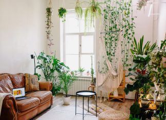 Home Decor With Indoor Plants